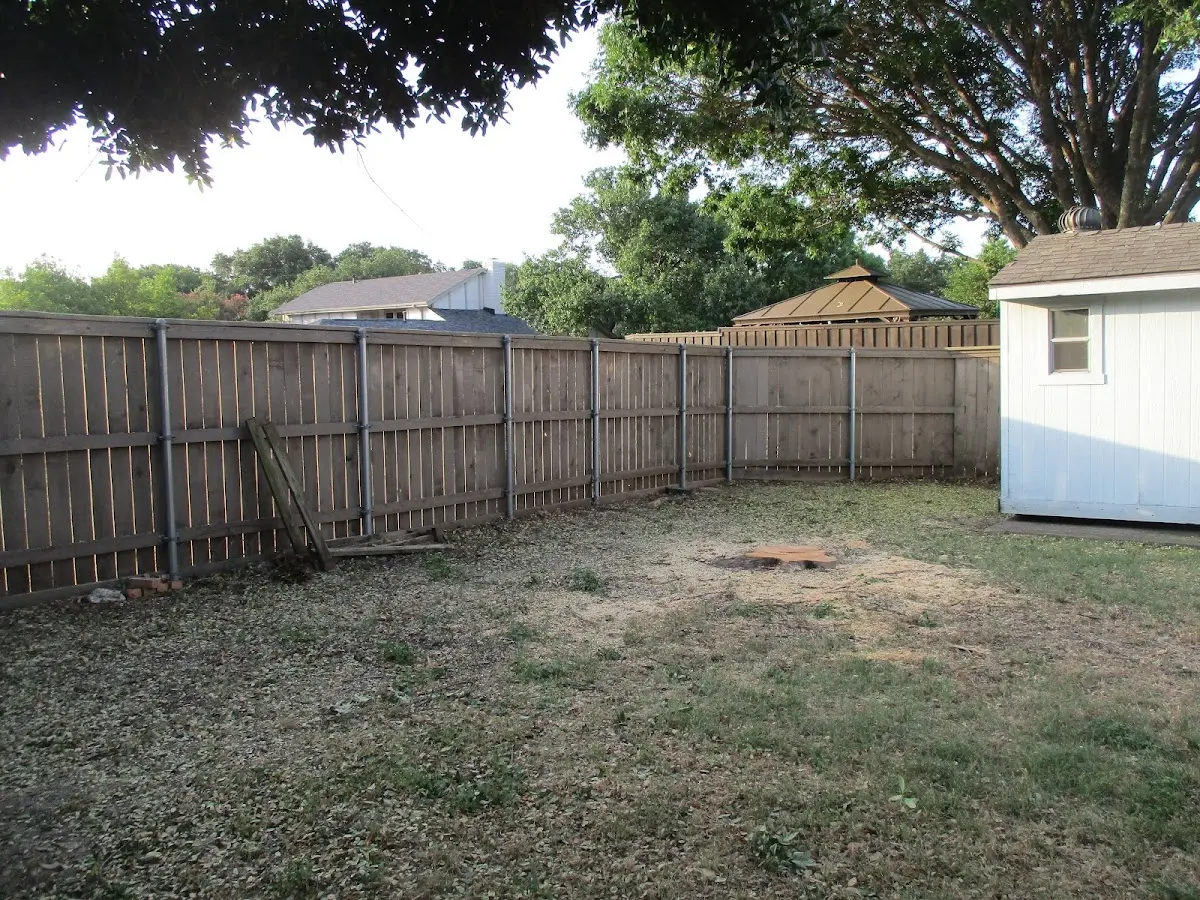 Cleared yard after professional tree removal in Lake Park