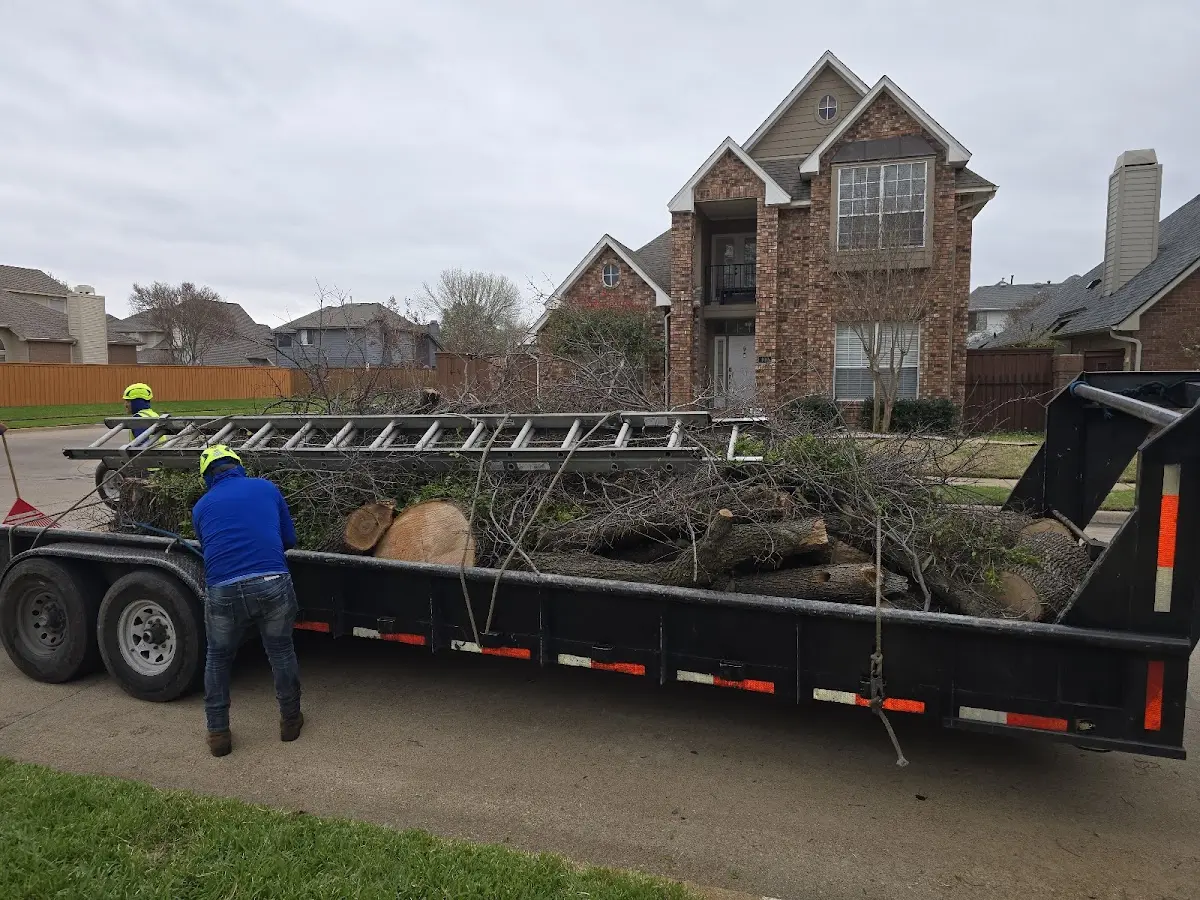 Expert Tree Fertilization with proper safety equipment in Lake Park